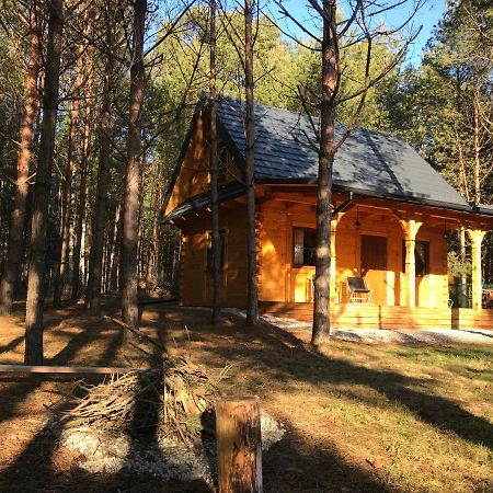 Forest Inn Trzepieciny Luaran gambar