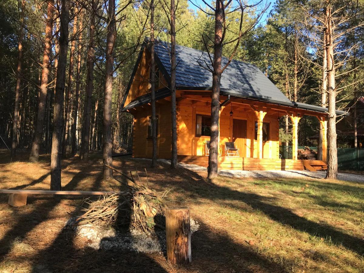 Forest Inn Trzepieciny Luaran gambar