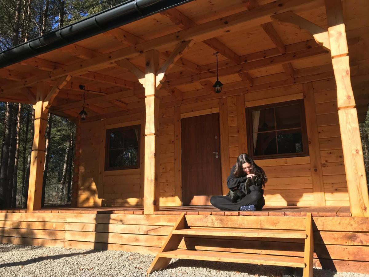 Forest Inn Trzepieciny Luaran gambar