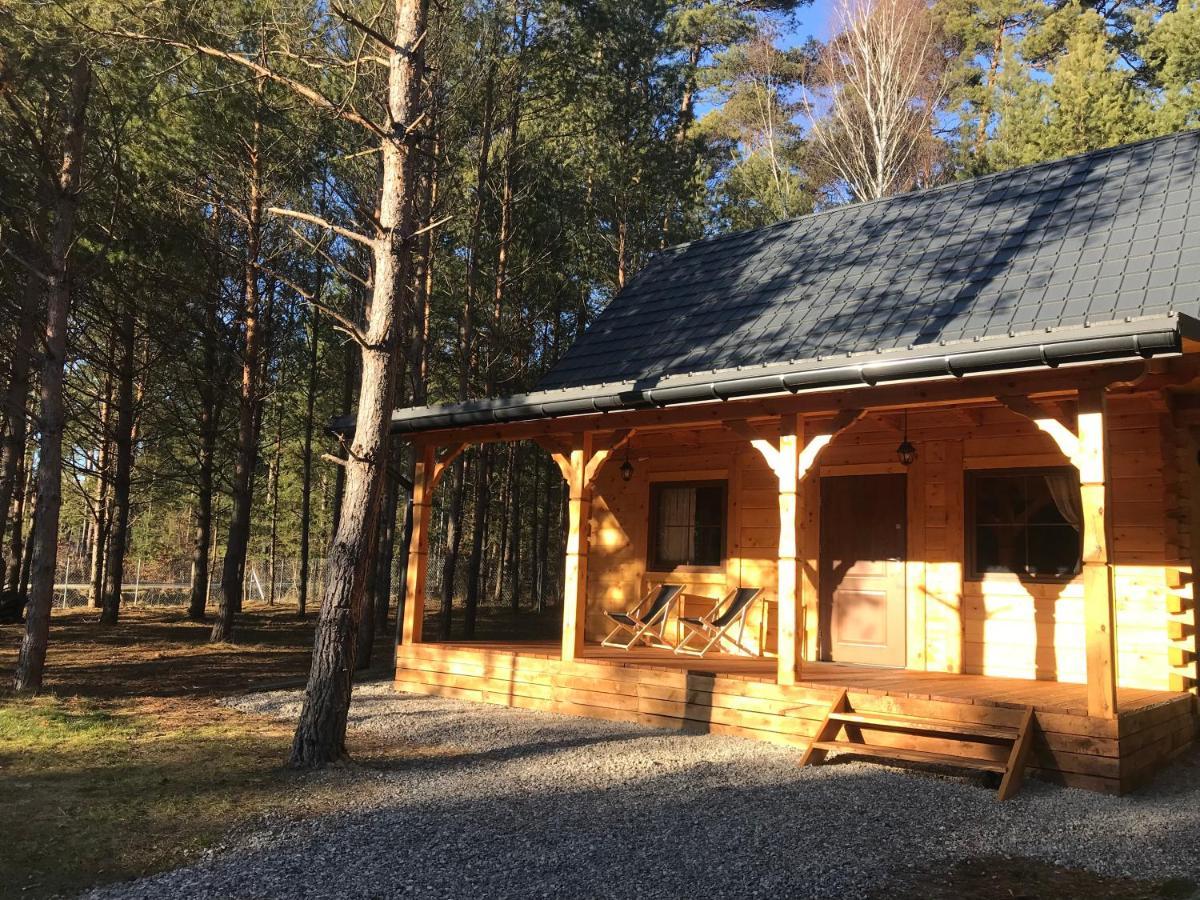 Forest Inn Trzepieciny Luaran gambar
