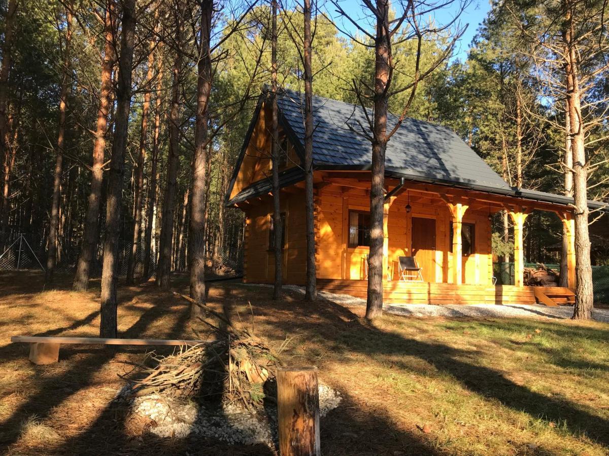 Forest Inn Trzepieciny Luaran gambar